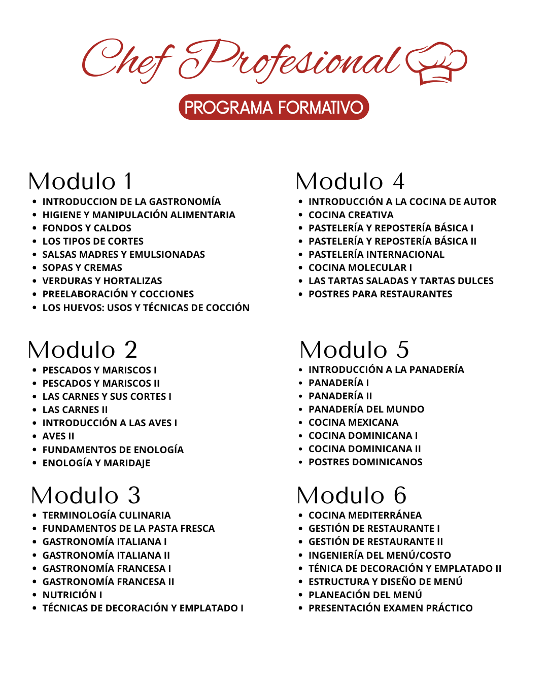 Chef Culinary Arts en Acción